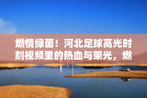 燃情绿茵！河北足球高光时刻视频里的热血与荣光，燃情绿茵，河北足球高光时刻的热血与荣光