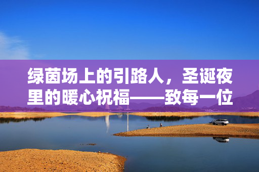 绿茵场上的引路人,圣诞夜里的暖心祝福——致每一位足球教练的节日问候,绿茵引路人,圣诞暖心祝福