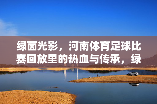 绿茵光影，河南体育足球比赛回放里的热血与传承，绿茵光影，河南足球比赛回放的热血与传承