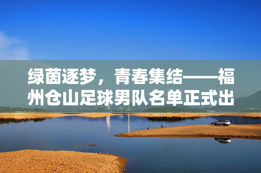 绿茵逐梦，青春集结——福州仓山足球男队名单正式出炉，福州仓山足球男队名单正式出炉，青春集结，绿茵逐梦