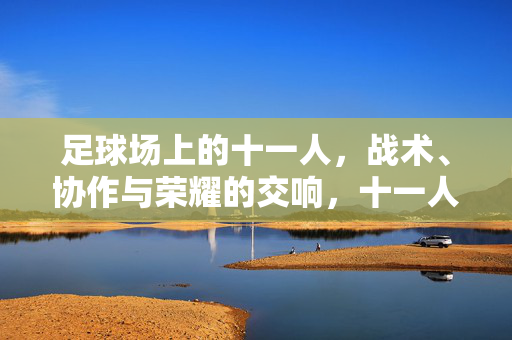 足球场上的十一人,战术、协作与荣耀的交响,十一人足球,战术协作的荣耀交响