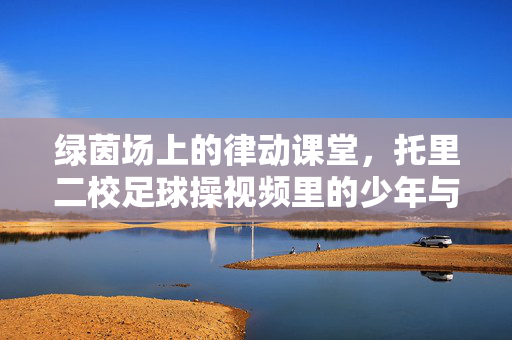 绿茵场上的律动课堂,托里二校足球操视频里的少年与阳光,绿茵场阳光律动,托里二校少年足球操