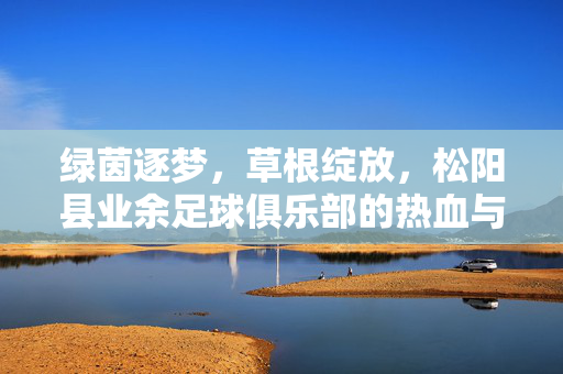 绿茵逐梦，草根绽放，松阳县业余足球俱乐部的热血与热爱，绿茵逐梦，松阳草根足球的热血绽放