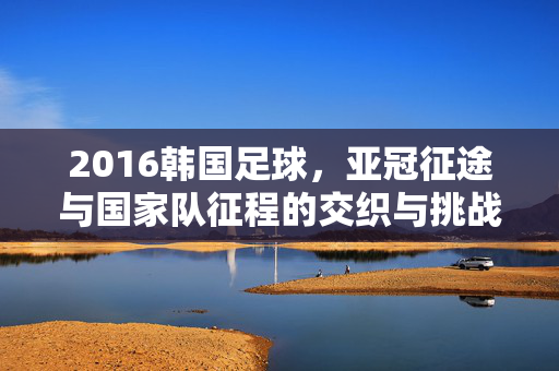 2016韩国足球，亚冠征途与国家队征程的交织与挑战