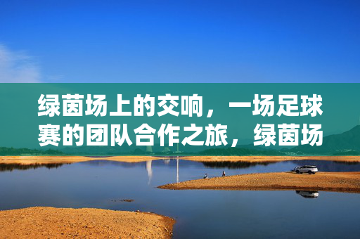 绿茵场上的交响,一场足球赛的团队合作之旅,绿茵场上的团队交响