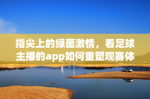 指尖上的绿茵激情，看足球主播的app如何重塑观赛体验，足球主播app，指尖重塑绿茵观赛体验