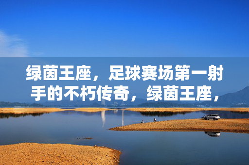 绿茵王座，足球赛场第一射手的不朽传奇，绿茵王座，第一射手的不朽传奇