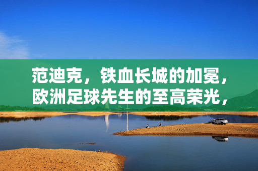 范迪克,铁血长城的加冕,欧洲足球先生的至高荣光,范迪克,铁血长城加冕,欧洲足球先生至高荣光
