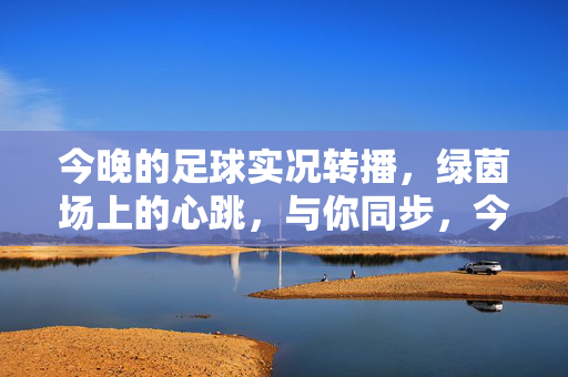 今晚的足球实况转播，绿茵场上的心跳，与你同步，今夜绿茵心跳，与你同步