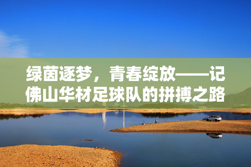 绿茵逐梦，青春绽放——记佛山华材足球队的拼搏之路，绿茵逐梦，青春绽放——佛山华材足球队拼搏之路