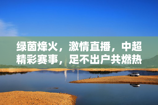 绿茵烽火,激情直播,中超精彩赛事,足不出户共燃热血,中超烽火激情直播,足不出户共燃热血