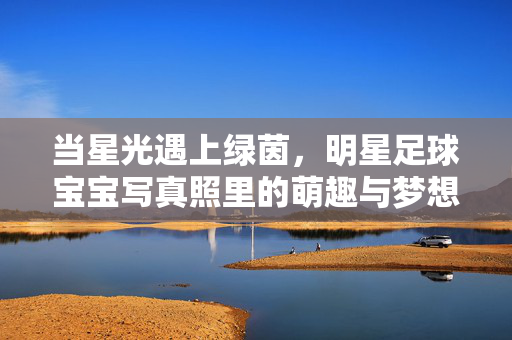当星光遇上绿茵，明星足球宝宝写真照里的萌趣与梦想，星耀绿茵，明星足球宝宝的萌趣与梦想