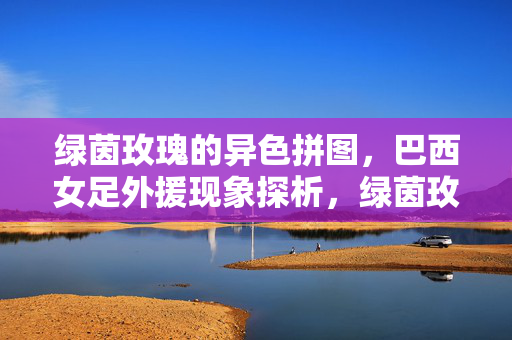 绿茵玫瑰的异色拼图，巴西女足外援现象探析，绿茵玫瑰的异色拼图，巴西女足外援现象探析