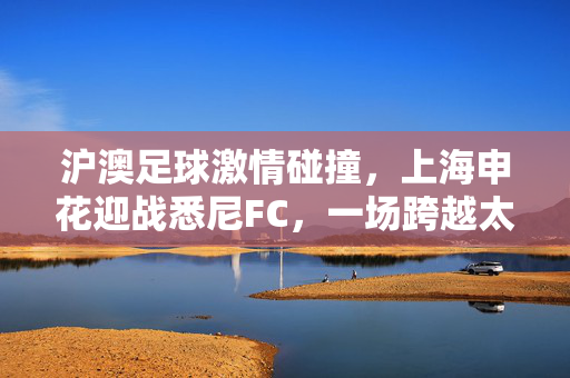 沪澳足球激情碰撞，上海申花迎战悉尼FC，一场跨越太平洋的绿茵对话，沪澳足球激情碰撞，上海申花迎战悉尼FC