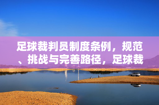 足球裁判员制度条例，规范、挑战与完善路径，足球裁判员制度条例，规范、挑战与完善