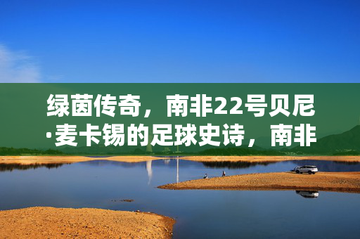 绿茵传奇，南非22号贝尼·麦卡锡的足球史诗，南非22号贝尼·麦卡锡的绿茵足球史诗