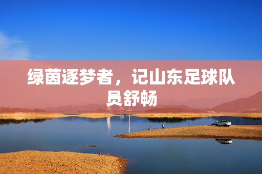 绿茵逐梦者,记山东足球队员舒畅