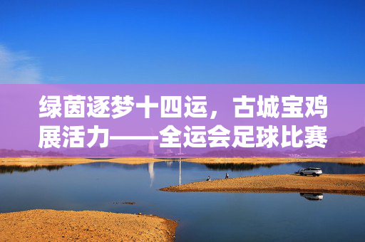 绿茵逐梦十四运，古城宝鸡展活力——全运会足球比赛宝鸡赛区纪实，绿茵逐梦十四运，古城宝鸡足球展活力
