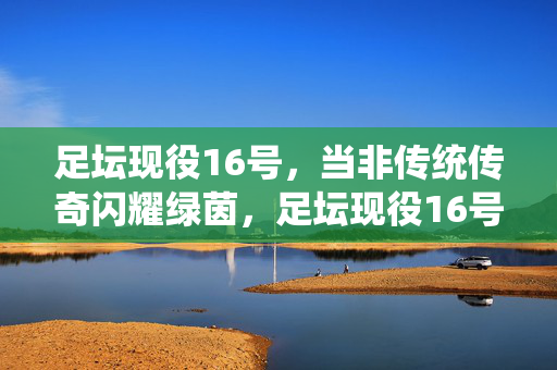 足坛现役16号,当非传统传奇闪耀绿茵,足坛现役16号,非传统传奇闪耀绿茵