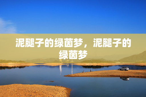 泥腿子的绿茵梦，泥腿子的绿茵梦