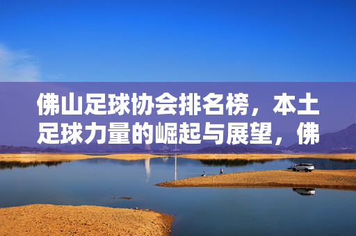 佛山足球协会排名榜,本土足球力量的崛起与展望,佛山足球协会排名榜,本土足球力量的崛起与展望