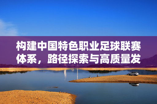 构建中国特色职业足球联赛体系，路径探索与高质量发展，构建中国特色职业足球联赛体系，路径探索与高质量发展