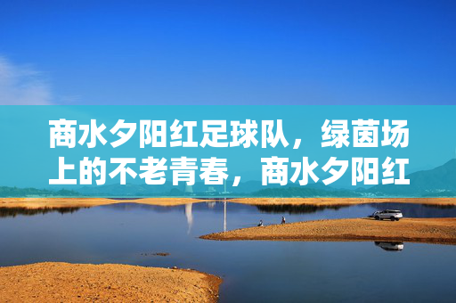 商水夕阳红足球队,绿茵场上的不老青春,商水夕阳红足球队,绿茵场上的不老青春