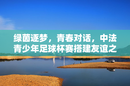 绿茵逐梦，青春对话，中法青少年足球杯赛搭建友谊之桥，中法青少年足球杯赛搭建青春友谊桥