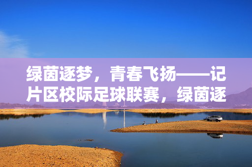 绿茵逐梦，青春飞扬——记片区校际足球联赛，绿茵逐梦，青春飞扬——片区校际足球联赛