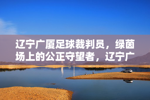 辽宁广厦足球裁判员,绿茵场上的公正守望者,辽宁广厦足球裁判员,绿茵场公正守望者
