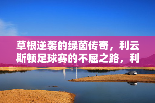 草根逆袭的绿茵传奇,利云斯顿足球赛的不屈之路,利云斯顿,草根逆袭的绿茵不屈之路