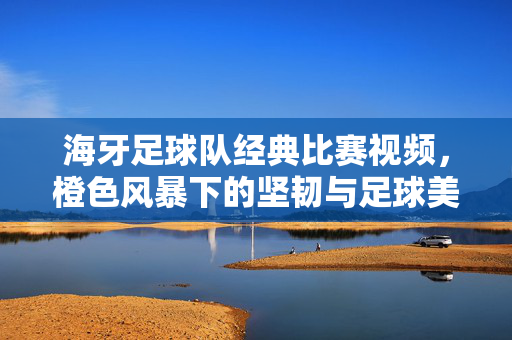 海牙足球队经典比赛视频，橙色风暴下的坚韧与足球美学，橙色风暴下的坚韧与足球美学，海牙经典赛事