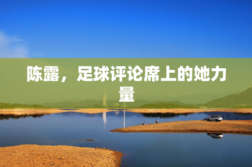 陈露，足球评论席上的她力量