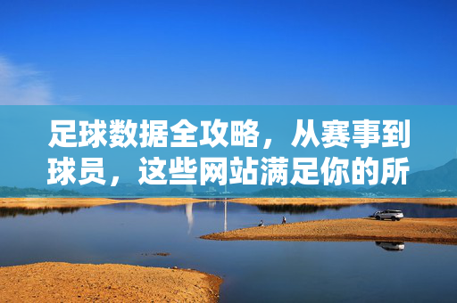 足球数据全攻略，从赛事到球员，这些网站满足你的所有数据需求，足球数据全攻略，从赛事到球员，满足你的所有数据需求