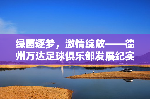 绿茵逐梦,激情绽放——德州万达足球俱乐部发展纪实,绿茵逐梦,激情绽放——德州万达足球俱乐部发展纪实