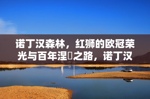 诺丁汉森林,红狮的欧冠荣光与百年涅槃之路,诺丁汉森林,红狮欧冠荣光与百年涅槃之路