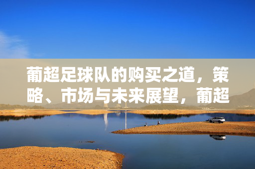 葡超足球队的购买之道,策略、市场与未来展望,葡超足球队购买之道,策略、市场与未来