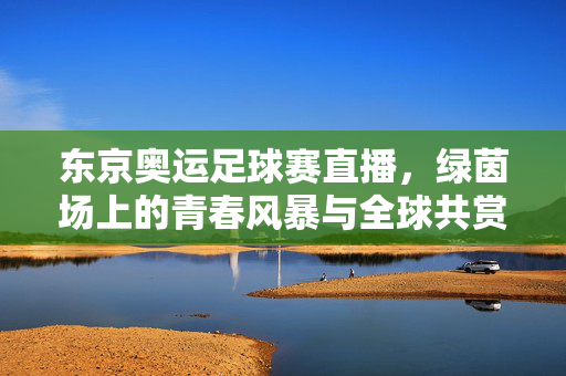 东京奥运足球赛直播,绿茵场上的青春风暴与全球共赏,东京奥运足球直播,绿茵青春风暴,全球共赏