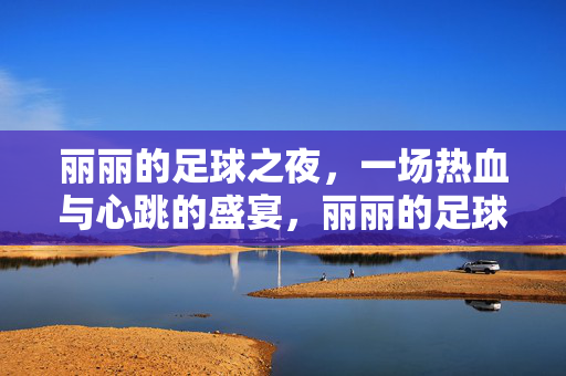 丽丽的足球之夜，一场热血与心跳的盛宴，丽丽的足球之夜，热血与心跳的盛宴