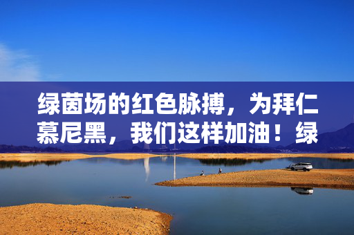 绿茵场的红色脉搏，为拜仁慕尼黑，我们这样加油！绿茵红色脉动，拜仁加油不息！