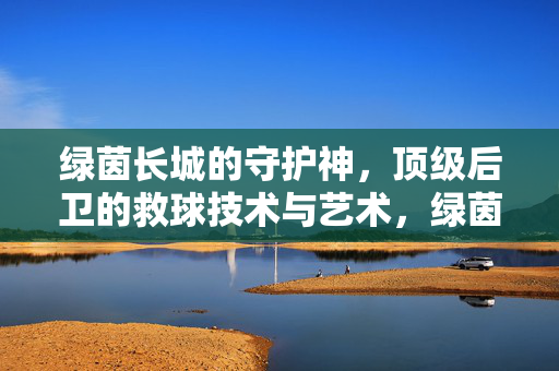 绿茵长城的守护神，顶级后卫的救球技术与艺术，绿茵长城守护神，顶级后卫救球技术与艺术
