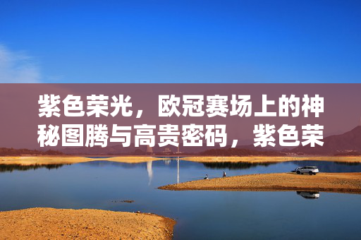 紫色荣光，欧冠赛场上的神秘图腾与高贵密码，紫色荣光，欧冠赛场的神秘图腾与高贵密码