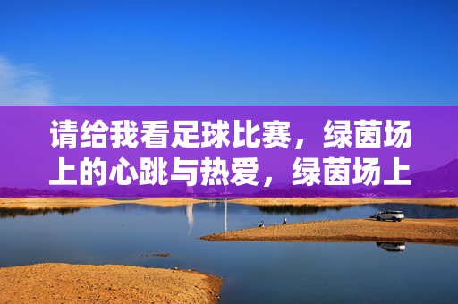 请给我看足球比赛，绿茵场上的心跳与热爱，绿茵场上的心跳与热爱
