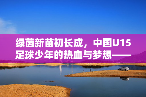 绿茵新苗初长成，中国U15足球少年的热血与梦想——从视频里看见未来，中国U15足球少年，绿茵新苗初长成，热血逐梦向未来
