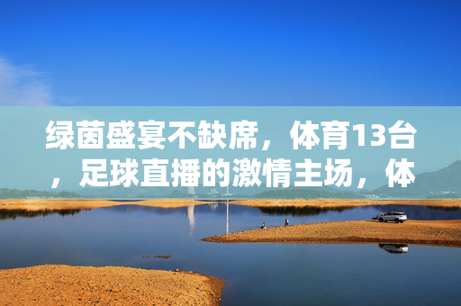 绿茵盛宴不缺席，体育13台，足球直播的激情主场，体育13台，绿茵盛宴激情足球直播主场