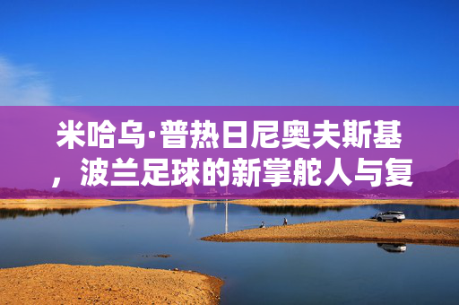 米哈乌·普热日尼奥夫斯基，波兰足球的新掌舵人与复兴之路，米哈乌·普热日尼奥夫斯基，波兰足球的新掌舵人与复兴之路