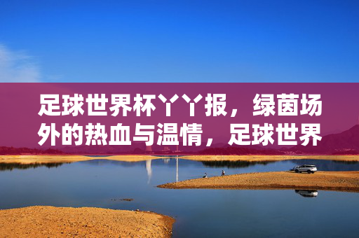 足球世界杯丫丫报，绿茵场外的热血与温情，足球世界杯丫丫报，绿茵场外的热血与温情