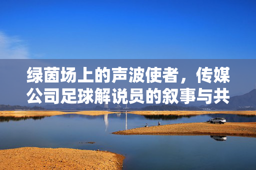 绿茵场上的声波使者,传媒公司足球解说员的叙事与共鸣,绿茵场上的声波使者,足球解说员的叙事共鸣