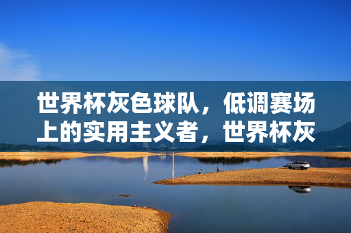 世界杯灰色球队，低调赛场上的实用主义者，世界杯灰色球队，低调赛场上的实用主义者