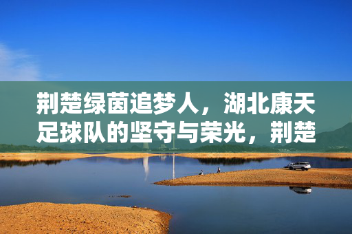 荆楚绿茵追梦人,湖北康天足球队的坚守与荣光,荆楚绿茵追梦人,湖北康天足球队的坚守与荣光